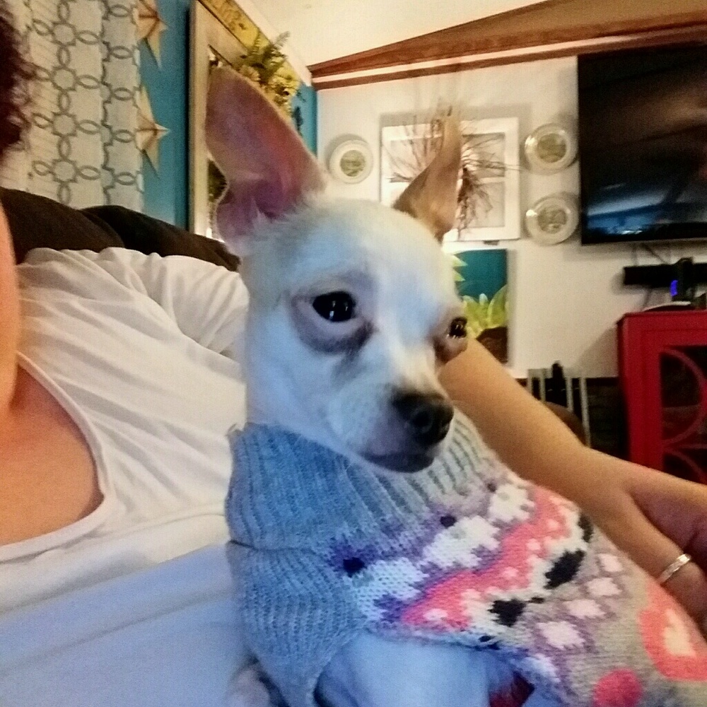 Meet your Posher, Nancy